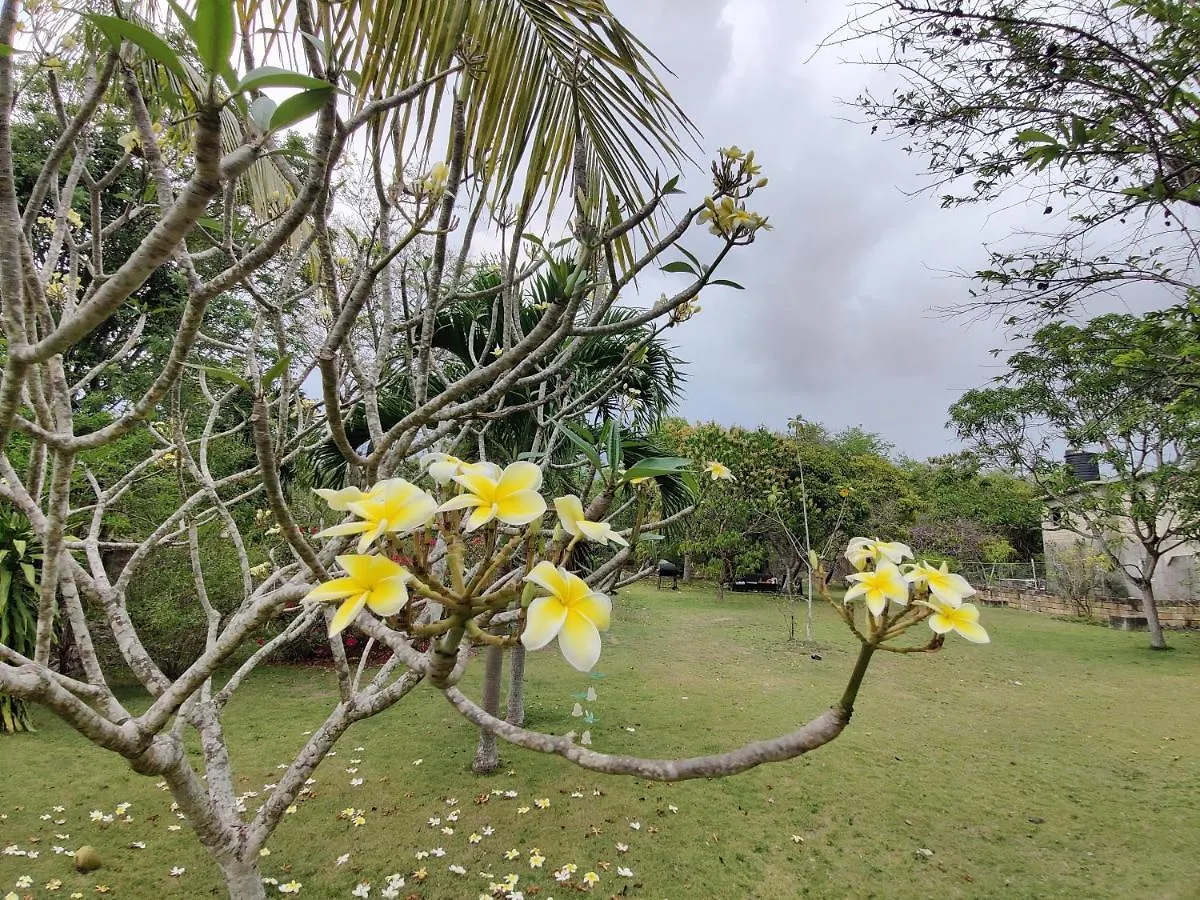 Villa Havana Negril Affittacamere